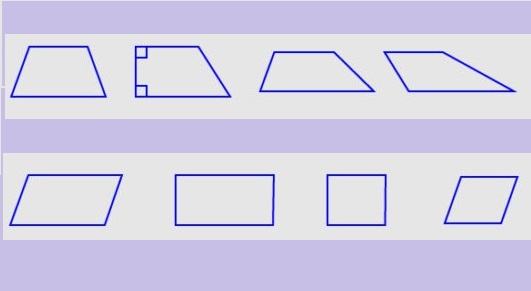 ট্রাপিজিয়াম কাকে বলে