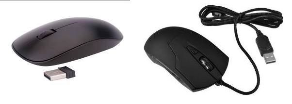 মাউস (Mouse)