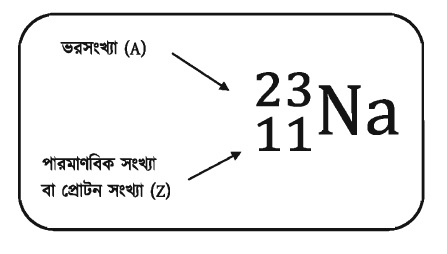 ভরসংখ্যা