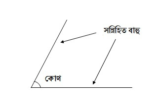 সন্নিহিত বাহু