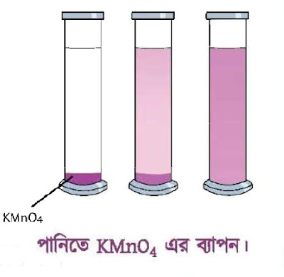 ব্যাপন