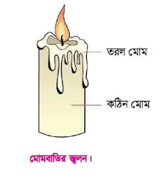 মোমবাতির জ্বলন ও মোমের তিন অবস্থা