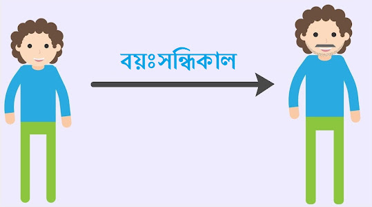 বয়ঃসন্ধিকাল কাকে বলে