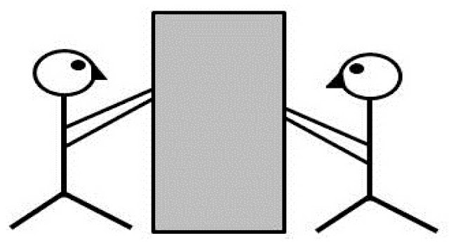 সাম্য বল