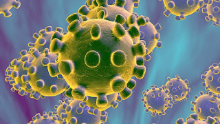 a close-up of a virus