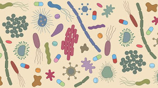 এন্টিমাইক্রোবিয়াল