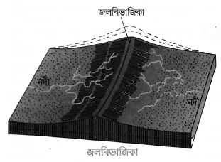 জলবিভাজিকা কাকে বলে
