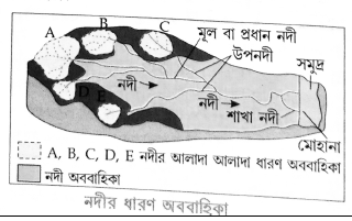 নদীর ধারণ অববাহিকা