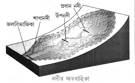 নদীর অববাহিকা