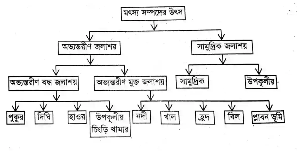 মৎস্য সম্পদের উৎস