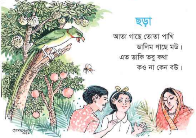 ছড়া
