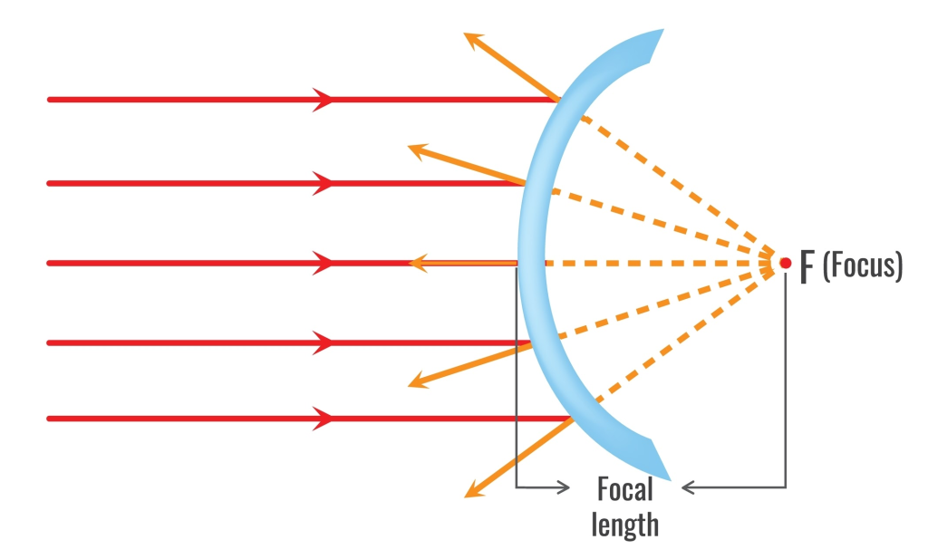 উত্তল দর্পণ